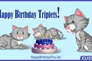 Happy Birthday Triplets Cats Happy Birthday Triplets Cats