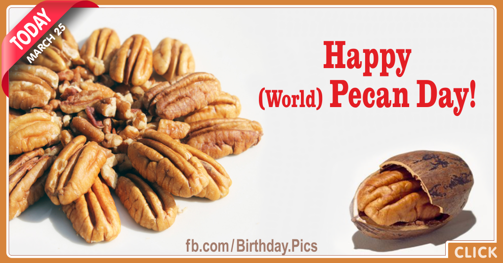 Happy World Pecan Day Card
