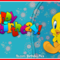 Cute Tweety bird birthday card - 617