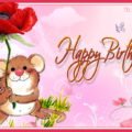 Cute Rabbit Happy Birthday Card - Happy Birthday to You : Birthday Wishes