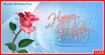 Single pink rose happy birthday card - 067