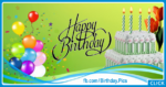 Balloons On Green Happy Birthday Card