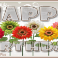 Transparent Letters Flowery Happy Birthday Card