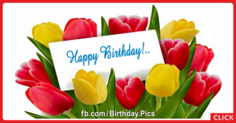 Yellow Red Tulips Happy Birthday Card