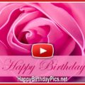 Pink Rose Romantic Birthday Silent Video - featured
