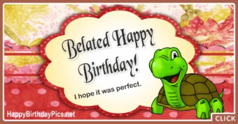 Happy Birthday Belated By Tortoise