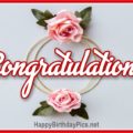 Congratulations Roses