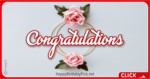 Congratulations Roses