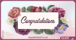 Congratulations Flowers to You