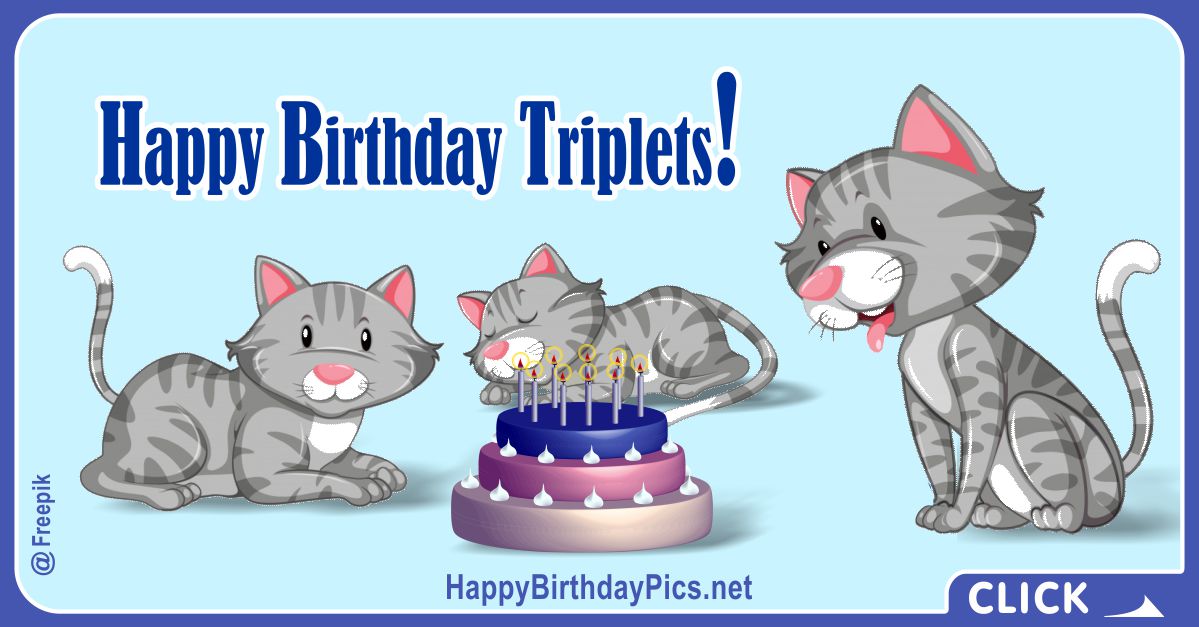 Happy Birthday Triplets Cats Card Equivalents