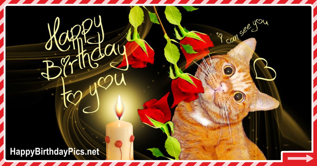 Happy Birthday Message with a Golden Cat Funny Card Equivalents