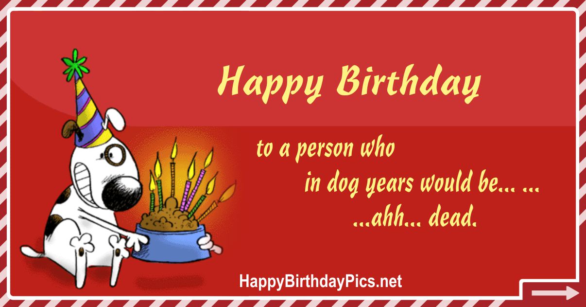 Funny Happy Birthday Card Happy Birthday In Dog Years