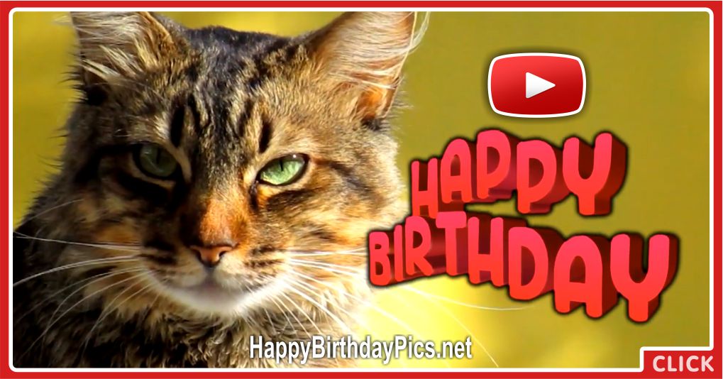 A Day Filled With Happiness Happy Birthday Cat Video