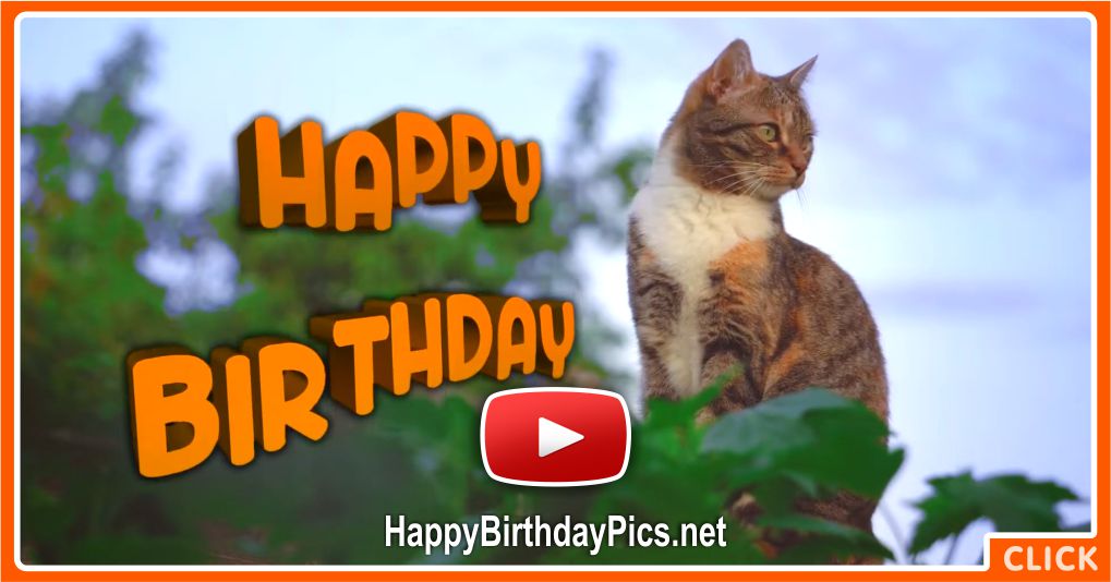 A Day Filled With Happiness Happy Birthday Video