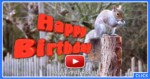 Squirrel Happy Birthday Cake