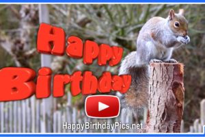 Cute Chipmunk Squirrel Happy Birthday Cake